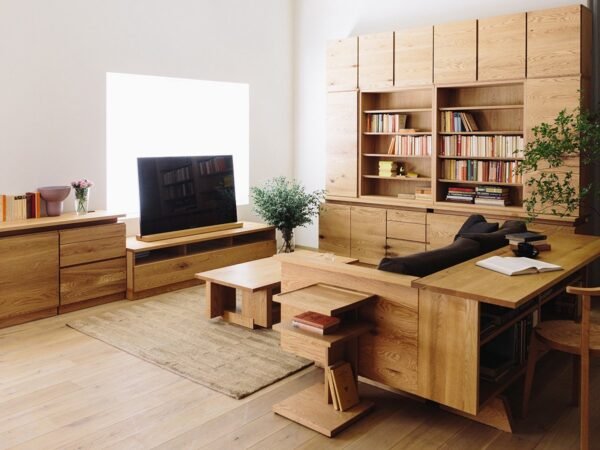 Lacuna - TV Board - Image 5