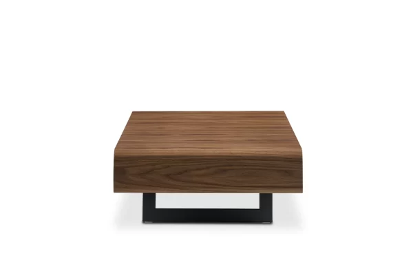Peri Coffee Table - Image 5